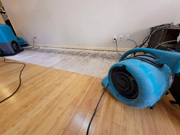 Professional Burst Pipe Water Damage technician working in Mitchell, IN